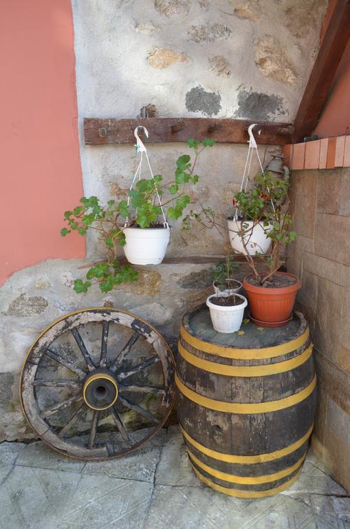 Guest House Zlatniyat Telets Kopriwsztica Zewnętrze zdjęcie