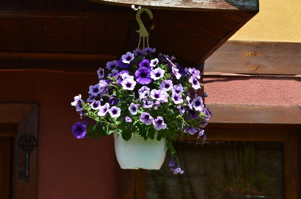 Guest House Zlatniyat Telets Kopriwsztica Zewnętrze zdjęcie