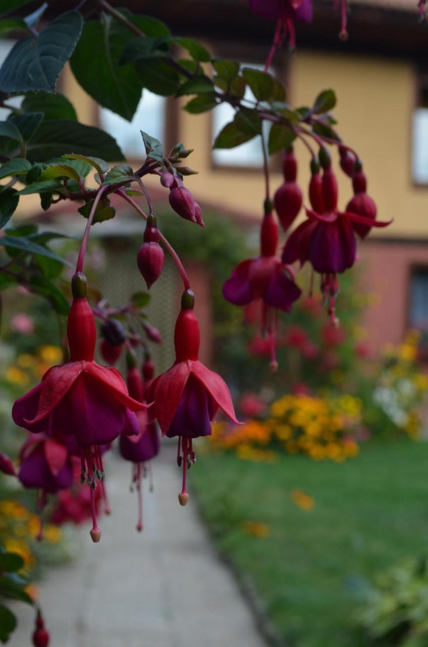 Guest House Zlatniyat Telets Kopriwsztica Zewnętrze zdjęcie