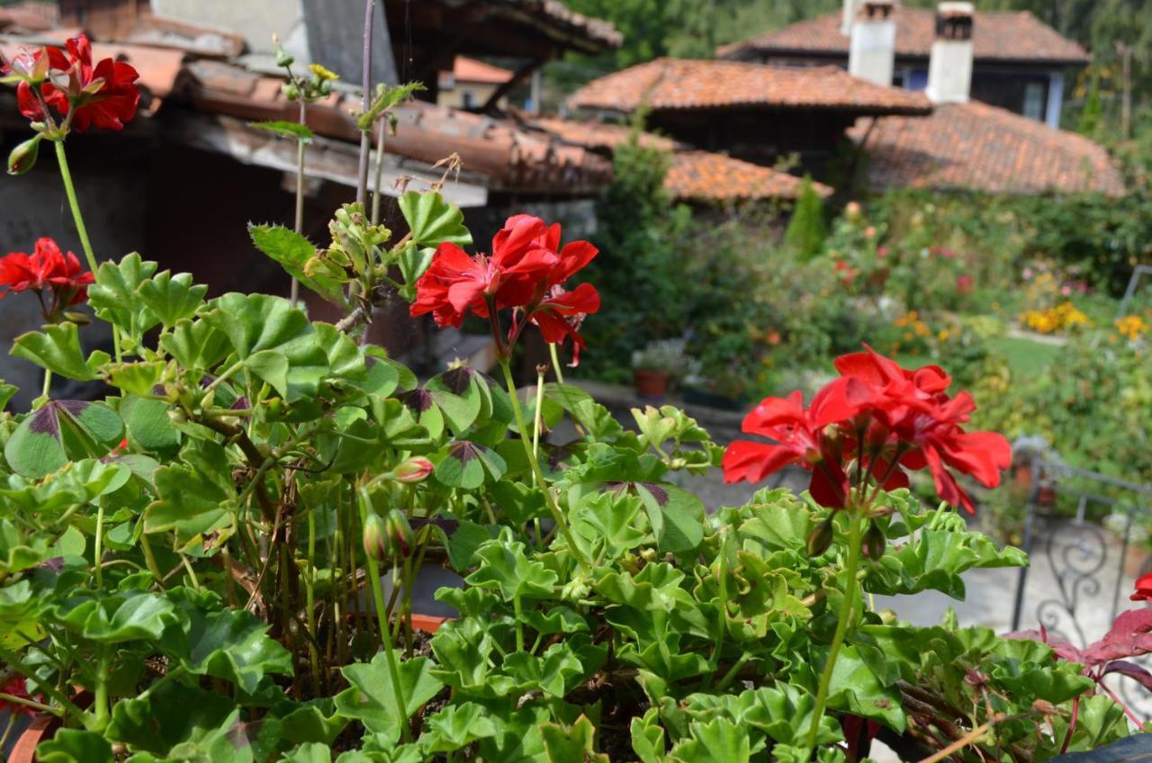 Guest House Zlatniyat Telets Kopriwsztica Zewnętrze zdjęcie